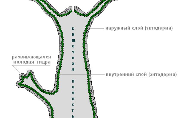 Сайт кракен россия