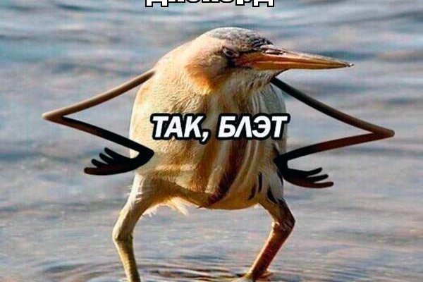Кракен актуальное зеркало 2kmp