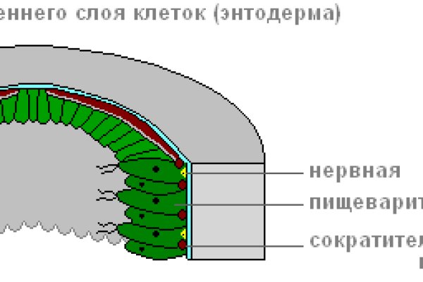 Kra22gl