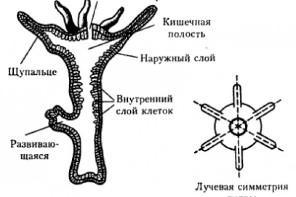 Кракен маркетплейс ссылка на сайт