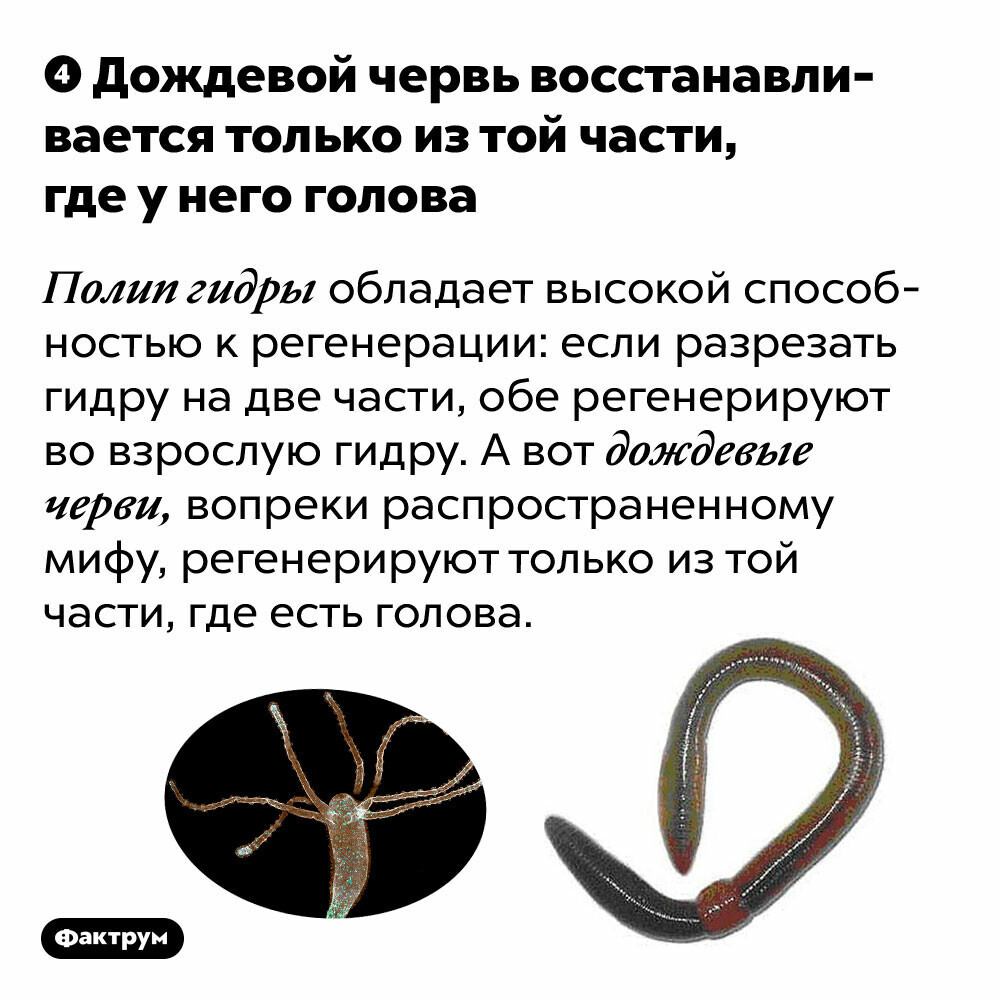 Модератор на кракене